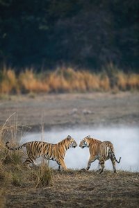 © Mihir Mahajan