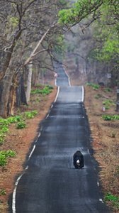 © Mihir Mahajan