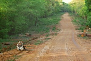 © Mihir Mahajan